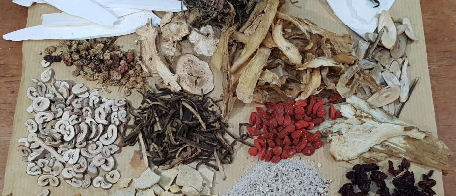 Herbal Medicine by TheTole
